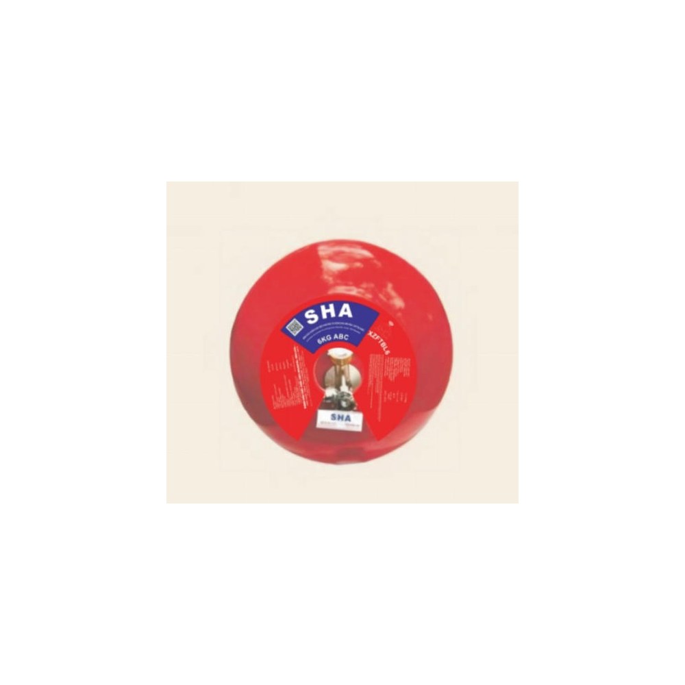 Portable Gas-Carbon Dioxide Fire Extinguisher	